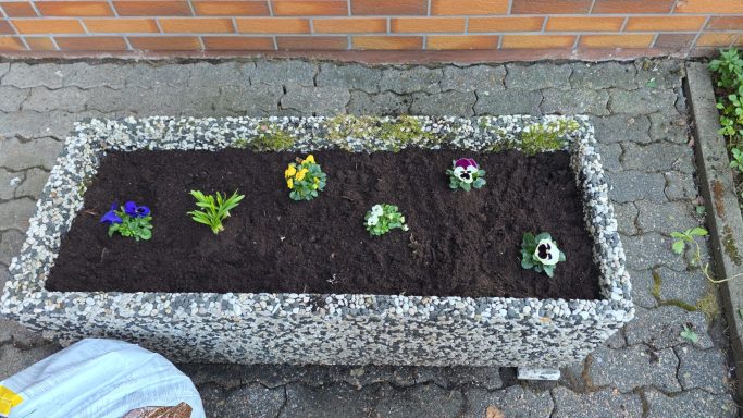 Bepflanzter Blumenkasten mit verschiedenen bunten Blumen auf dunkler Erde.